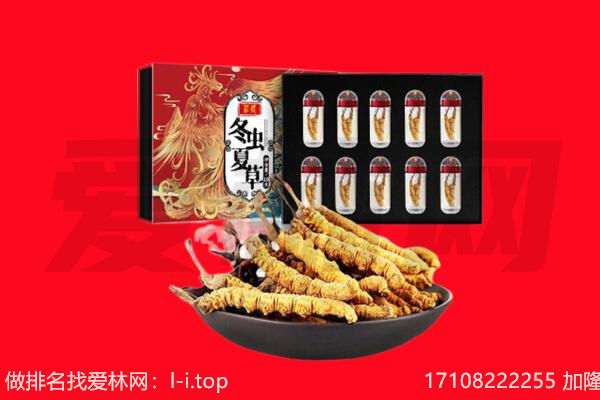 南平市邵武回收虫草.jpg